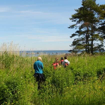Wiesen und Meeresstrand... eine Wanderung in Estland