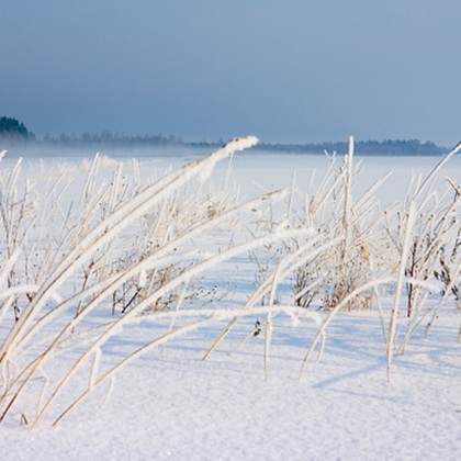 Und noch mehr Schnee...