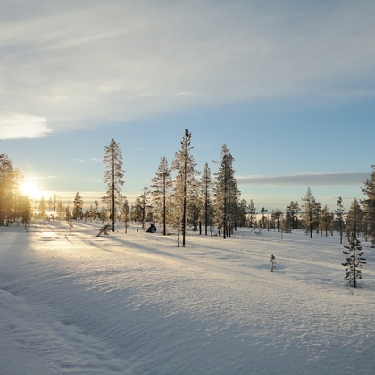 Winter