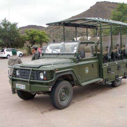 Safari 