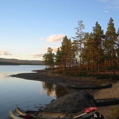 Insel in der norwegischen Wildnis