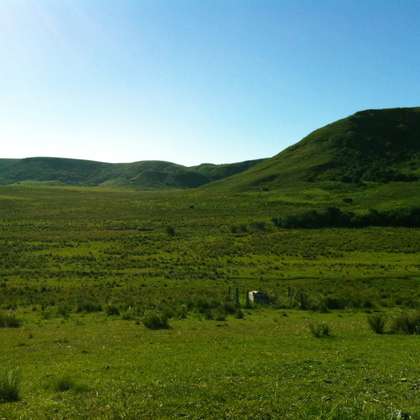 Un paysage typique de la campagne d'Uruguay